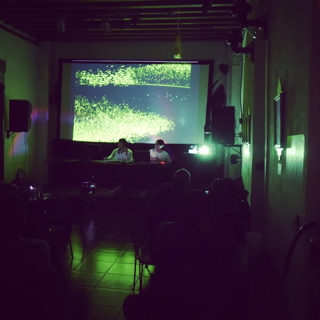 Caos Sensible at FEC24 01