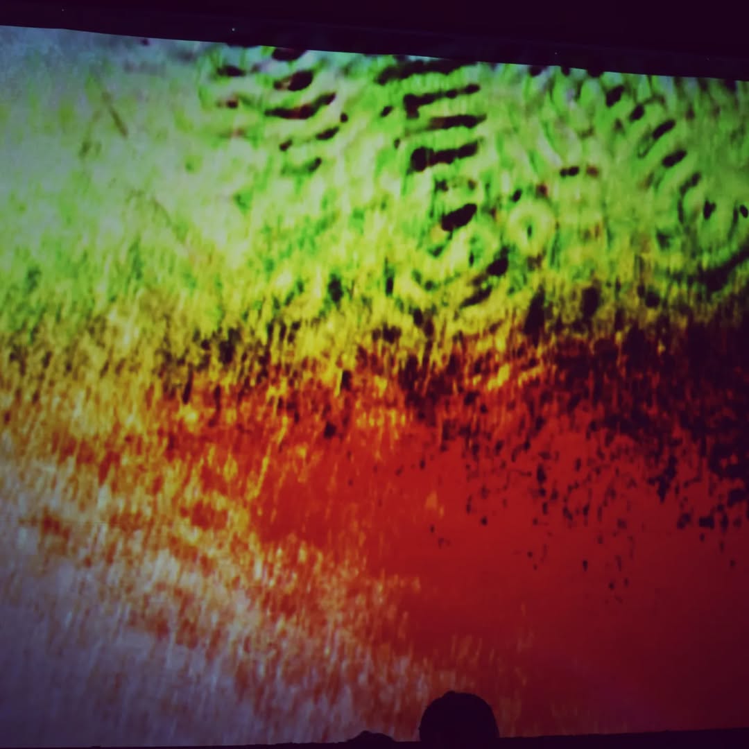 Caos Sensible at FEC24 02