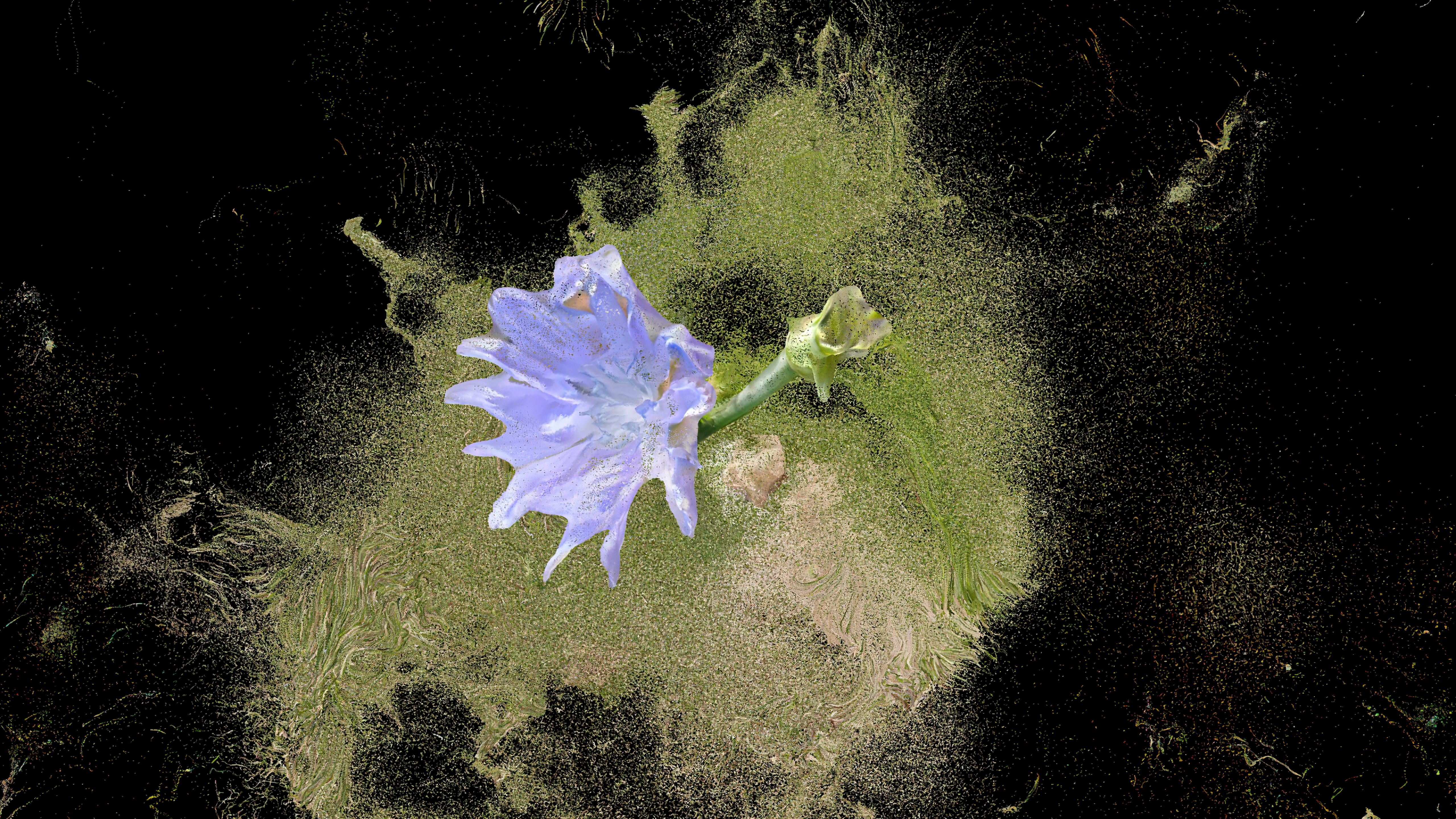 Ofrenda al tiempo 04