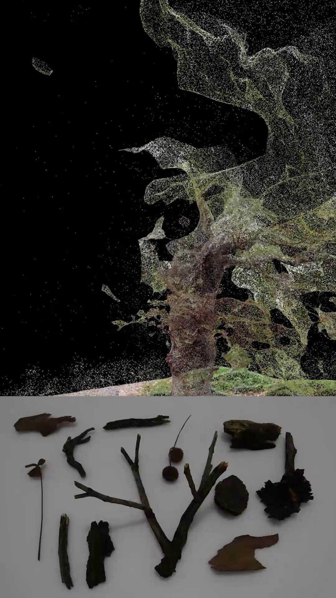 Ofrenda al tiempo 06